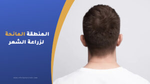 المنطقة المانحة