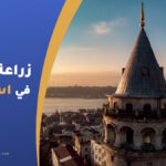 زراعة الشعر في إسطنبول